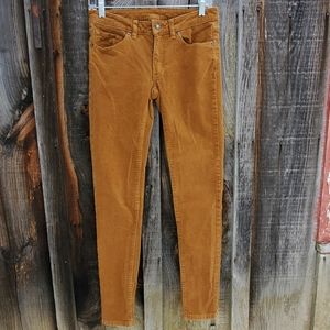Patagonia Sage Khaki Corduroy Pants Size 27